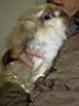 DSCN0269.JPG