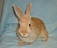 DSC04288.JPG