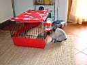 DSC04406.jpg