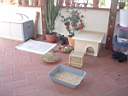 DSC04571.jpg