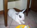 DSCN4374.JPG