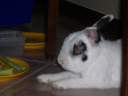 DSCN4376.JPG