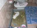 DSCN5229.jpg