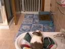 DSCN5504.jpg