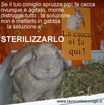 Sterilizzazione