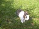 DSCN5571.jpg