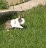 DSCN5577.jpg